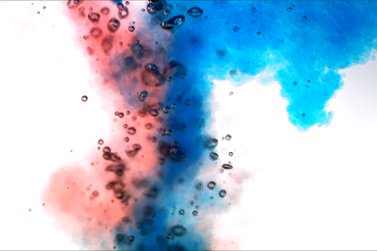 Cultivation yield & quality can be reduced by avoiding the mistakes outlined in this article.