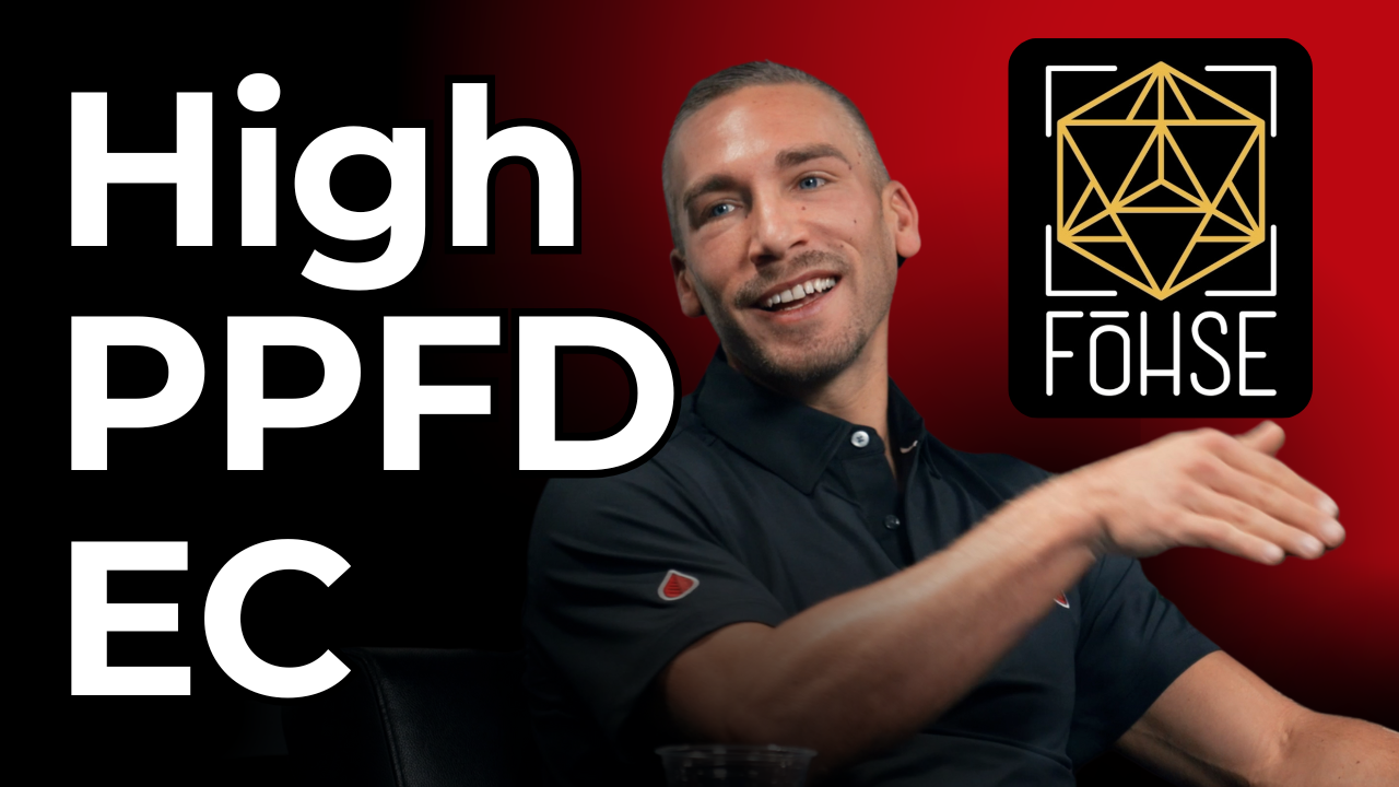 Substrate EC Mistakes Most Growers Still Make