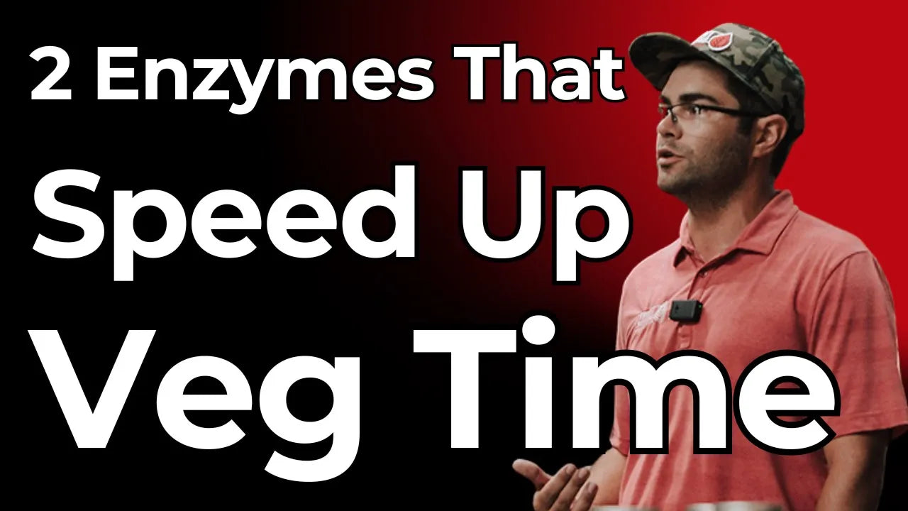 Decrease Your Veg Time With PhosZyme