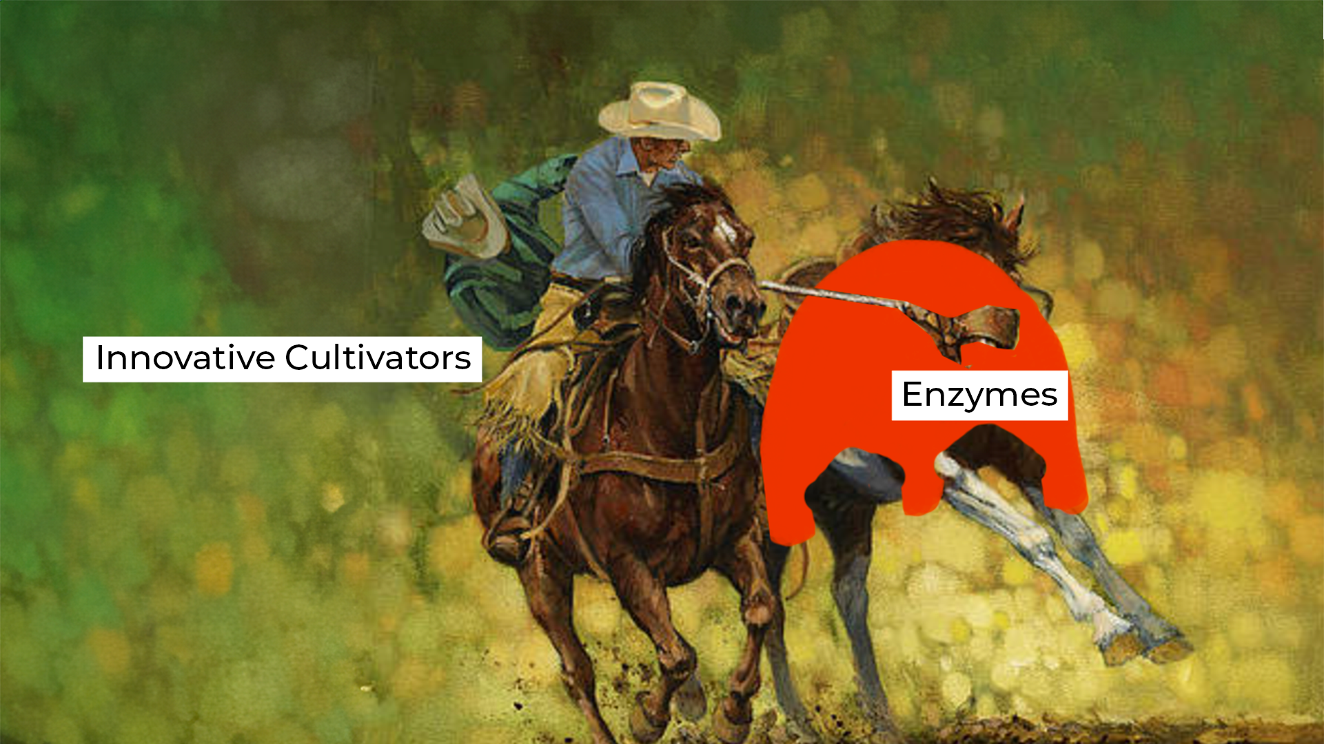 4 Reasons Why Innovative Cultivators Are Harnessing Enzymes in Hydroponics