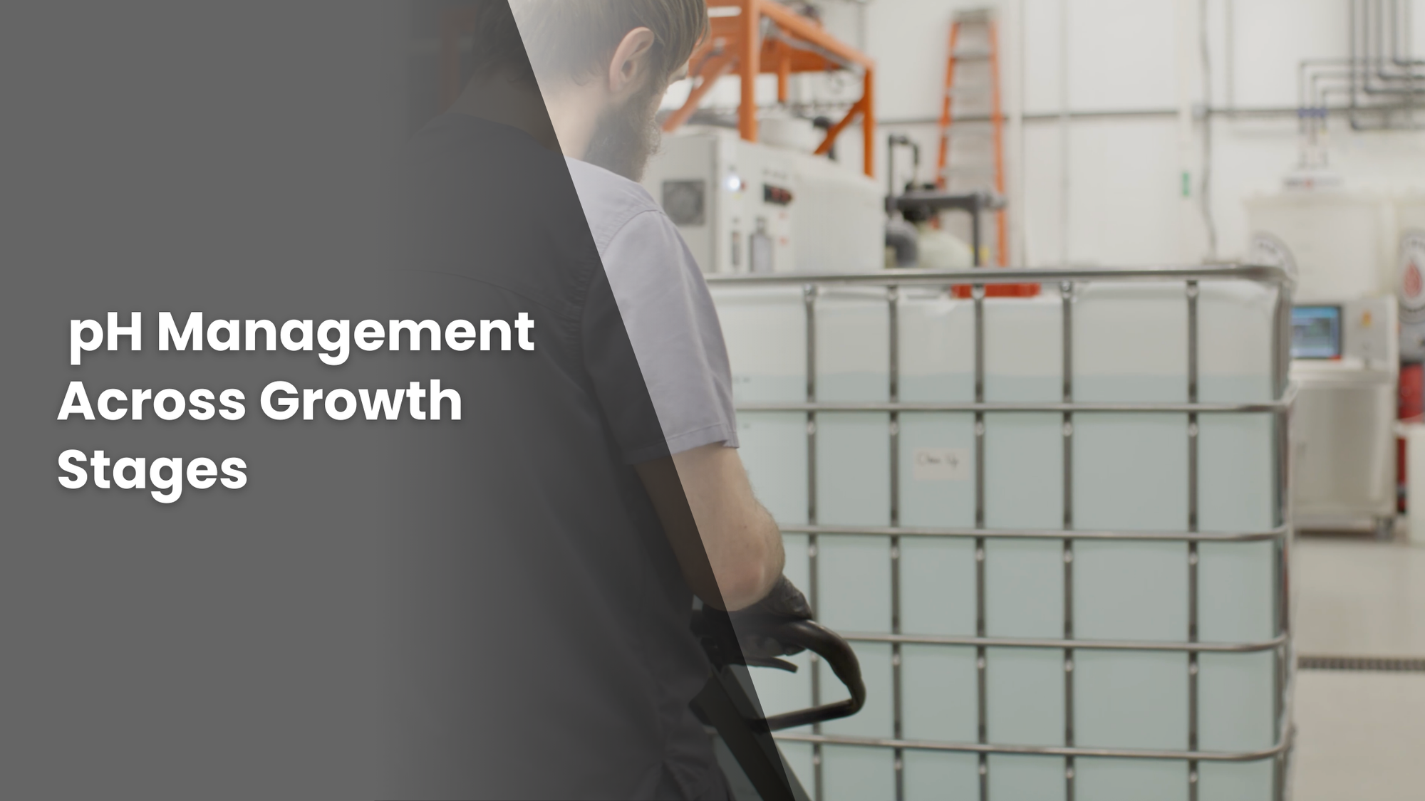 Article discussing pH management across different growth stages.